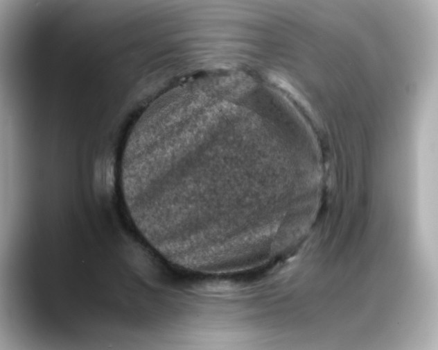 X0000088400685200706051136