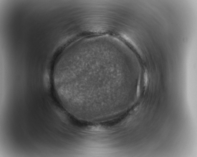 X0000088400688200706051136