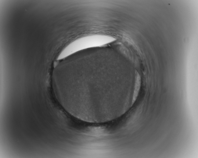 X0000088400689200706051136