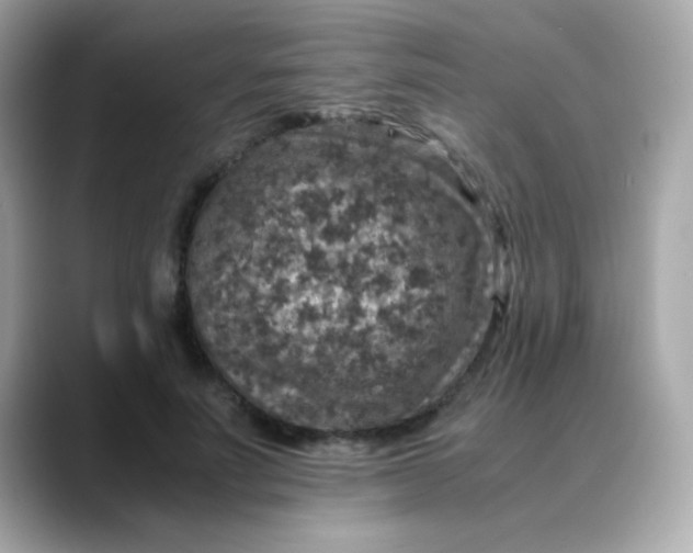 X0000088400691200706051136