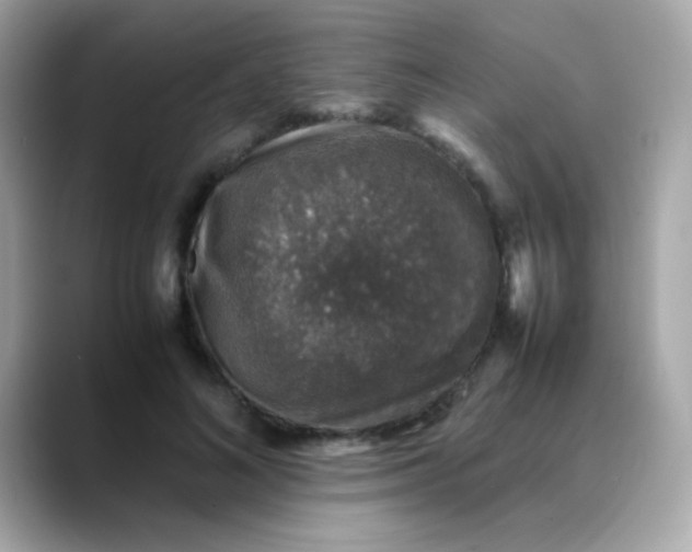 X0000088400692200706051136