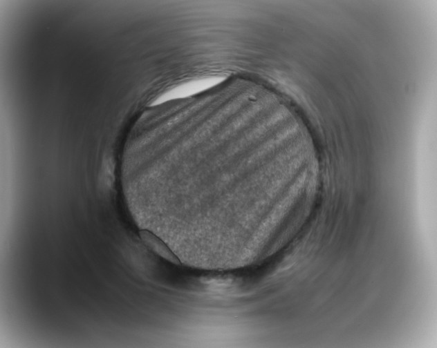 X0000088400693200706051136