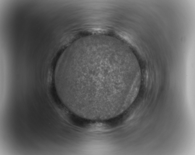 X0000088400695200706051136