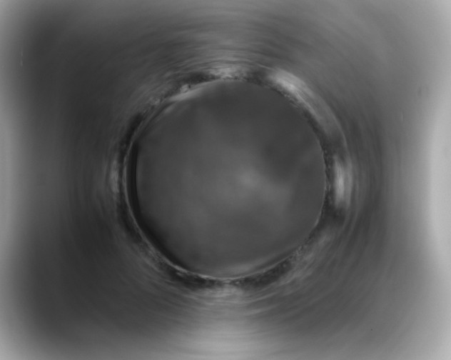 X0000088400696200706051136