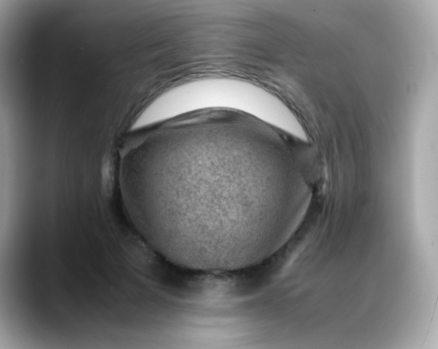 X0000088400697200706051136