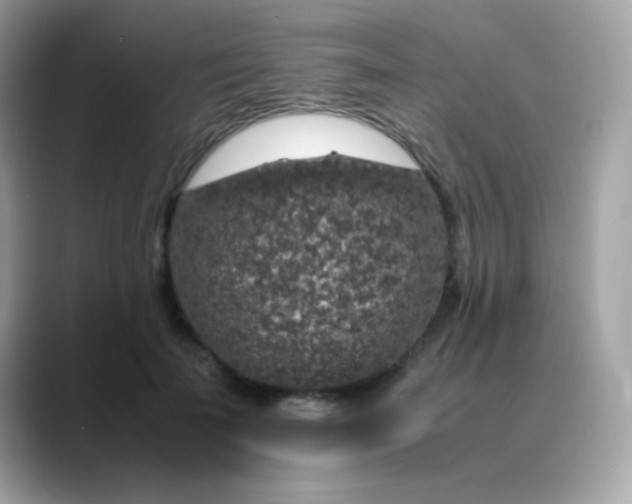 X0000088400699200706051136