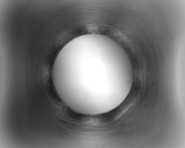 X0000088400702200706051136