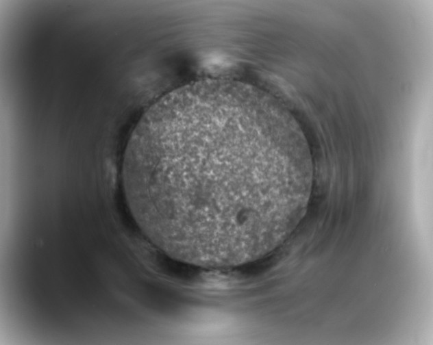 X0000088400703200706051136