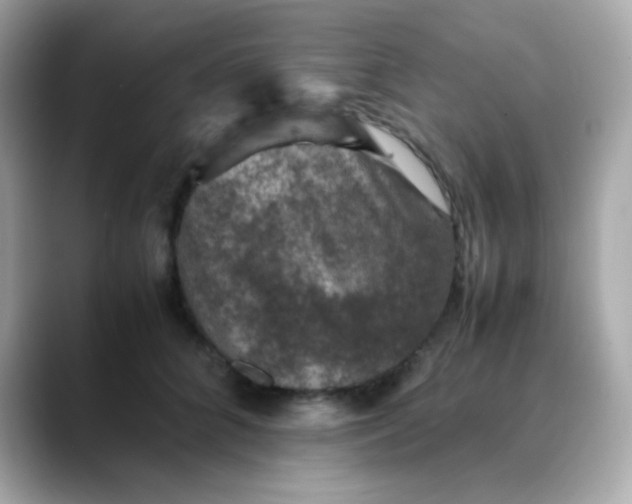 X0000088400704200706051136