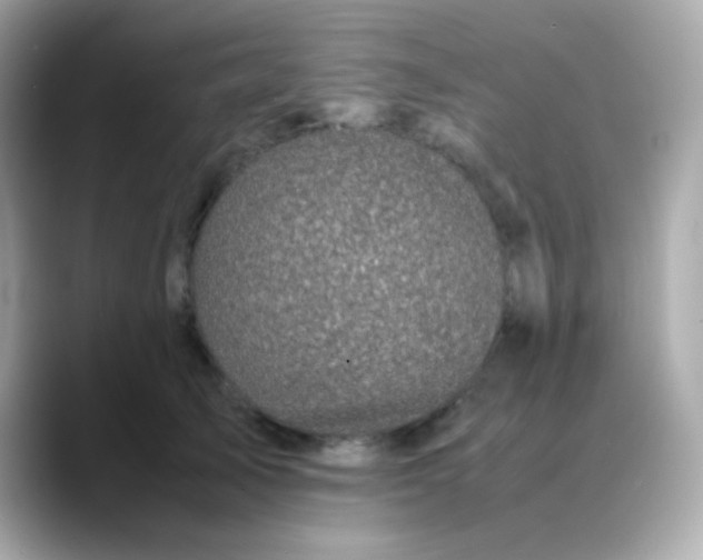 X0000088400705200706051136