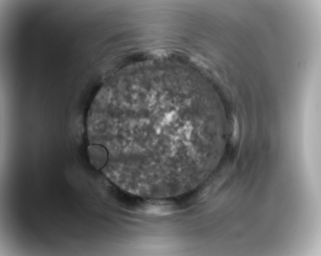 X0000088400707200706051136