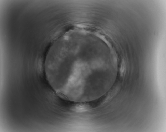 X0000088400708200706051136