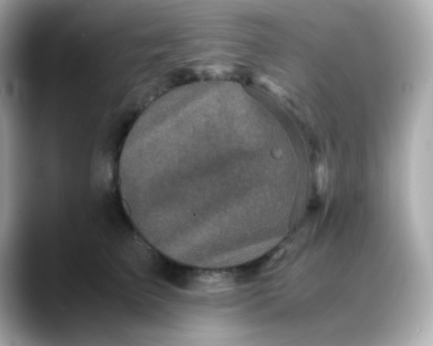 X0000088400709200706051136