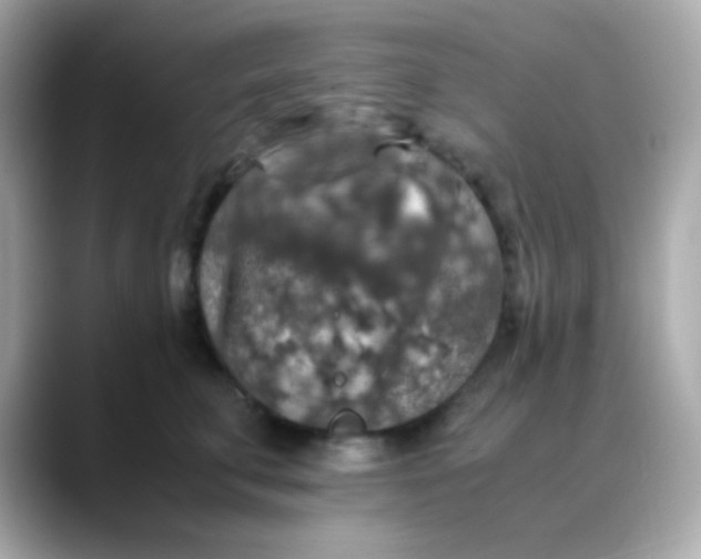 X0000088400711200706051136