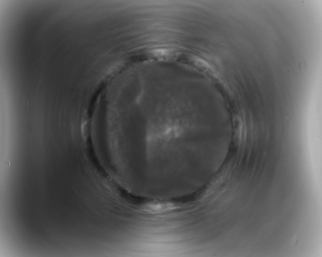 X0000088400712200706051136