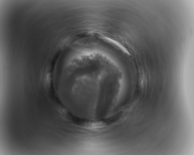 X0000088400716200706051136