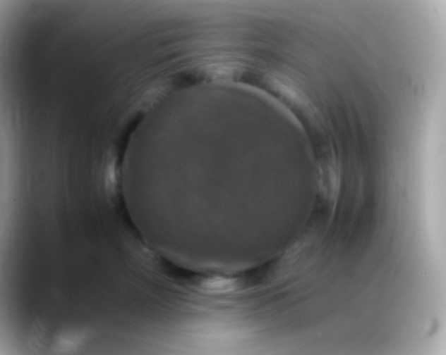 X0000088400718200706051136