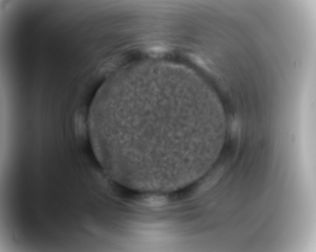 X0000088400719200706051136