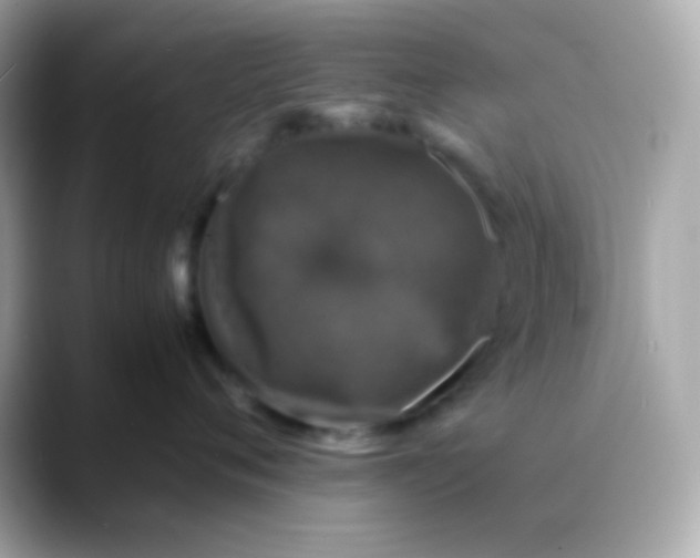 X0000088400720200706051136