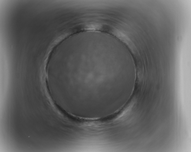 X0000088400721200706051135