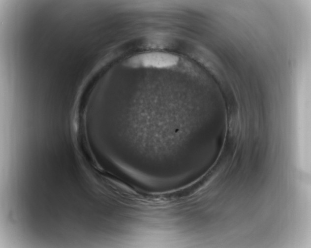 X0000088400722200706051135