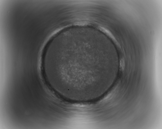 X0000088400724200706051135