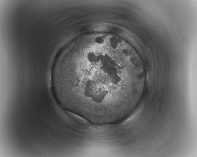 X0000088400725200706051135