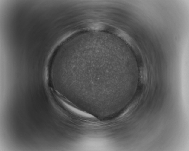 X0000088400726200706051135