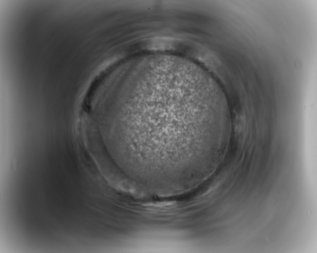 X0000088400727200706051135