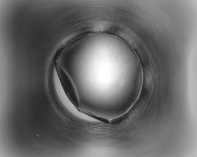 X0000088400728200706051135