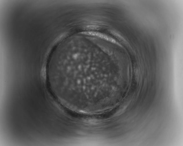 X0000088400729200706051135