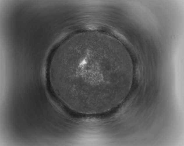 X0000088400730200706051135