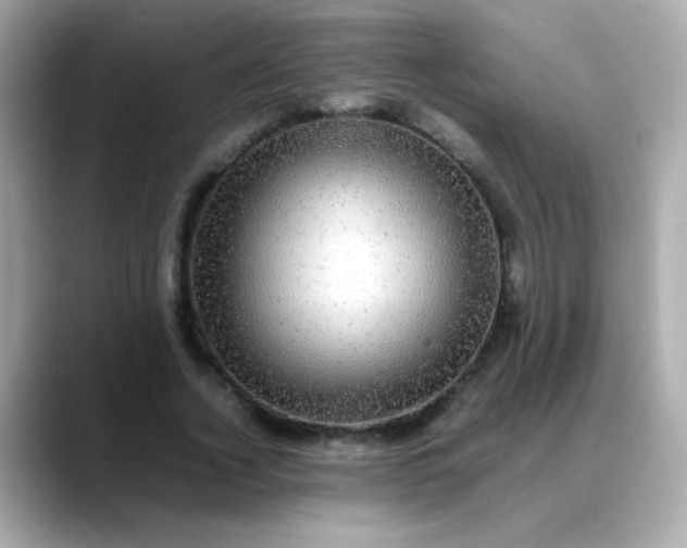 X0000088400732200706051135