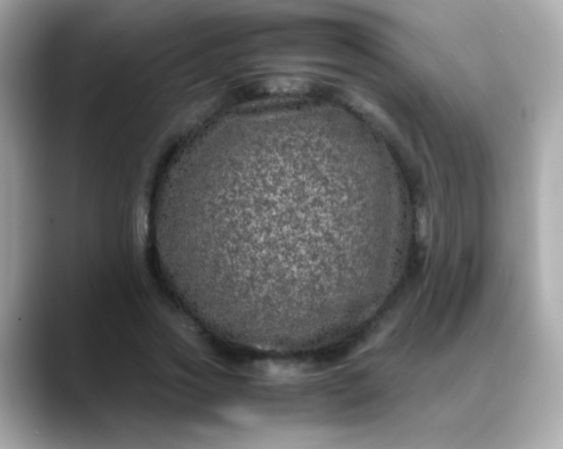 X0000088400733200706051135