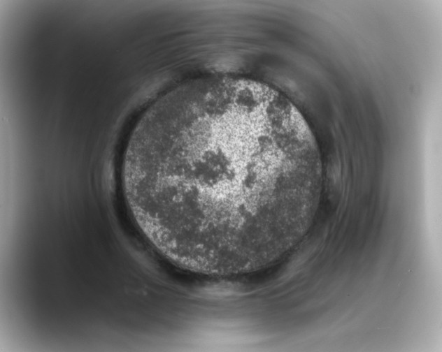 X0000088400734200706051135