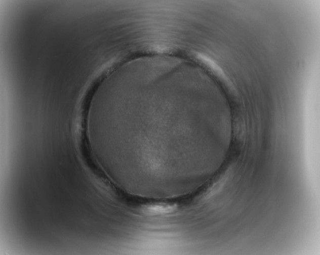 X0000088400736200706051135