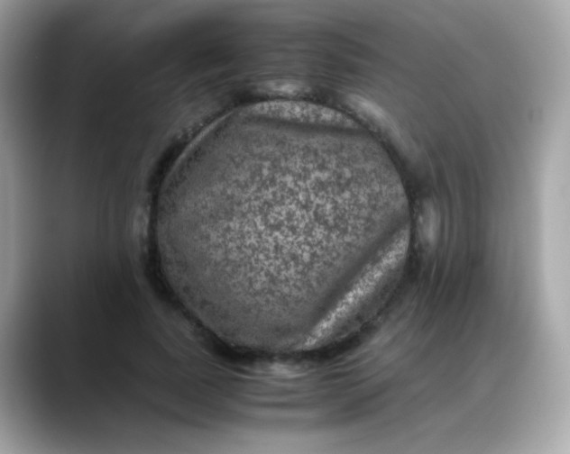 X0000088400739200706051135