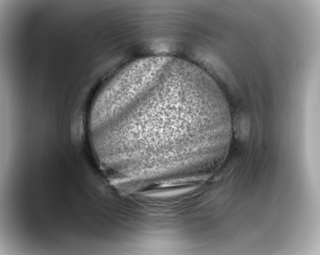 X0000088400740200706051135