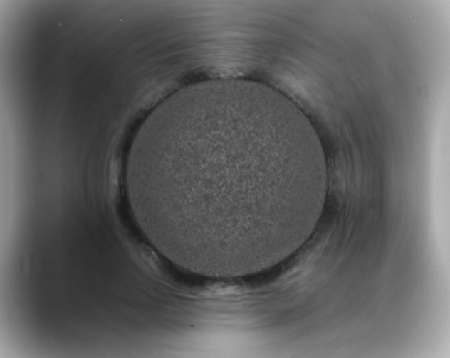 X0000088400742200706051135