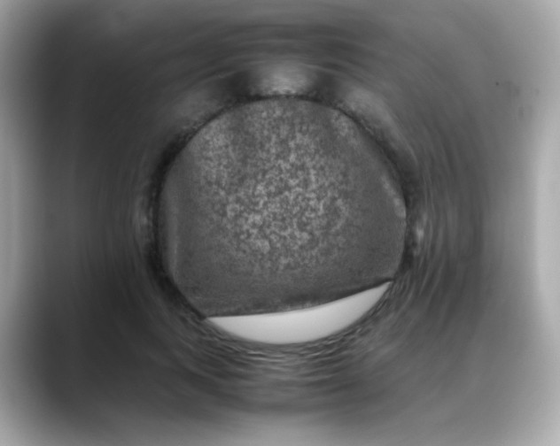 X0000088400743200706051135