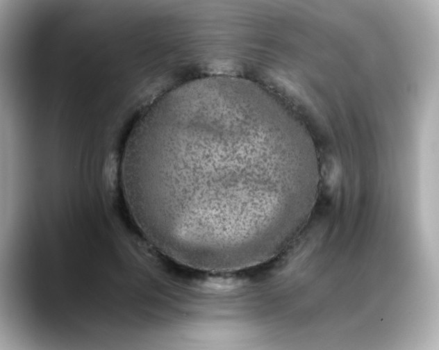 X0000088400744200706051135