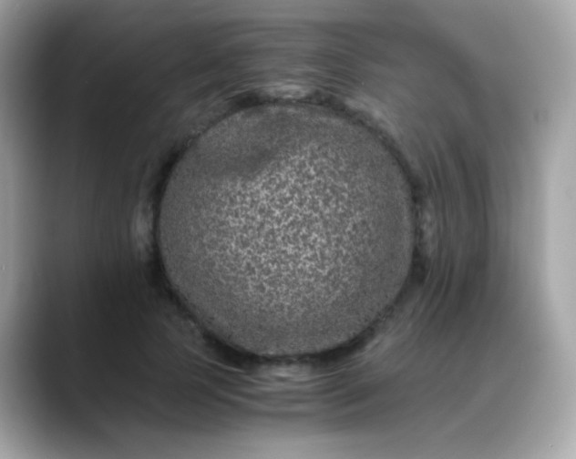 X0000088400745200706051135