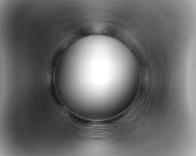 X0000088400746200706051135