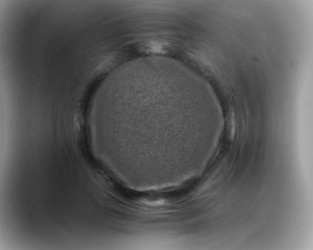 X0000088400747200706051135