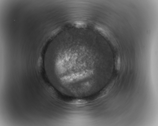 X0000088400748200706051135