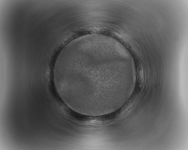 X0000088400750200706051135