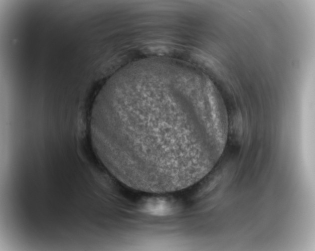 X0000088400751200706051135