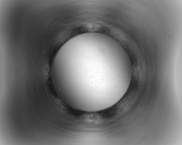 X0000088400752200706051135