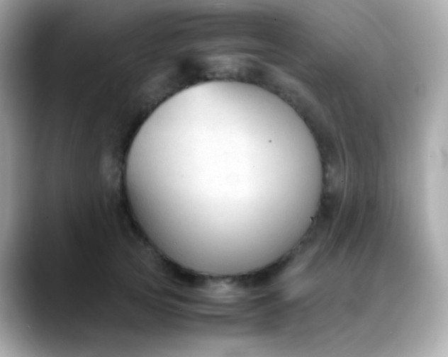 X0000088400753200706051135