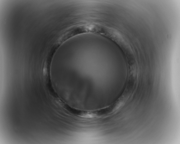 X0000088400754200706051135